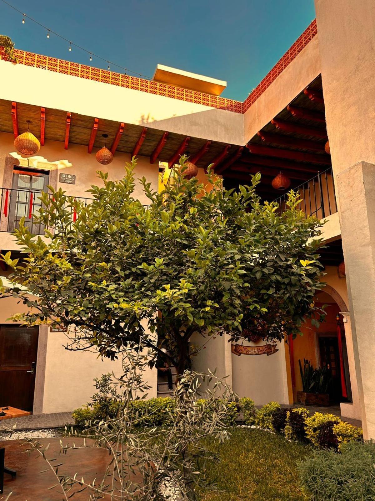 Bito'S Hotel Boutique San Miguel de Allende Ngoại thất bức ảnh
